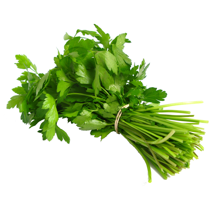 Coriander Leaves